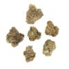 Bubblegum Gelato strain,bubble gum gelato strain,bubblegum gelato,bubble gum gelato,white bubble gum gelato,