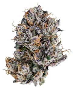 Cherry White Strain,white cherry,white cherry strain,cherry gelato strain,cherry white strain ,white cherry gelato strain,white cherry runtz strain ,white cherry truffle strain ,white gelato ,white gelato strain