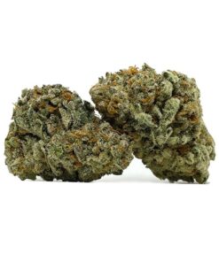 jungle juice strain,jungle fruit strain ,jungle juice 92,jungle juice cake ,jungle juice cake bar, jungle fruit weed strain