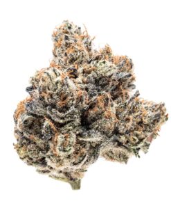 Mac V2 Strain,mac strain,macintosh strain ,miracle alien cookies strain ,miracle alien cookies ,mac runtz strain,purple mac strain ,mac #2 strain ,mac 2 strain,mac2 strain ,