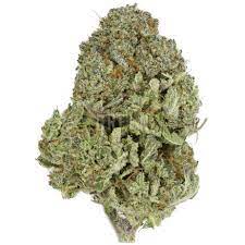 Tropic Thunder Strain,tropical thunder strain,tropical strain,tropic strain