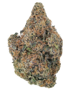 Cap Junky Strain,cap junkie strain,cap junky strain indica or sativa,cap junky weed strain