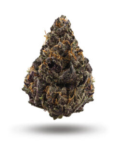 Dark Rainbow Strain,dark rainbow #6 strain,dark rainbow strain review ,dark rainbow strain allbud,dark rainbow strain indica or sativa,dark rainbow strain leafly