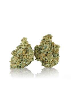 Gorilla Cake Strain,gorilla cake strain indica or sativa,gorilla cake strain thc level,gorilla cake weed strain,