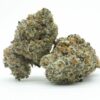 Oreo Cake Strain,oreo cake weed strain,oreo cakes strain ,oreo cake strain thc leve,oreo cake strain indica or sativa