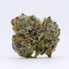 Poddy Mouth Strain,poddy mouth strain review,poddy mouth strain indica or sativa,poddy mouth weed strain,poddy mouth strain allbud ,