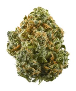 Watermelon Mimosa Strain,watermelon mimosa strain review,watermelon mimosa strain allbud,watermelon mimosa strain effects