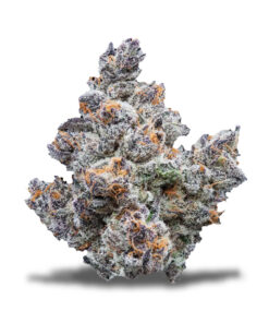 Cold Snap Strain,cold snap weed strain,cold snap strain jungleboys,cold snaps strain,cold snap #6 strain,