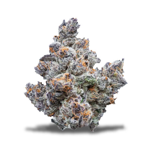 Cold Snap Strain,cold snap weed strain,cold snap strain jungleboys,cold snaps strain,cold snap #6 strain,