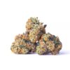 Government Oasis Strain,government oasis weed strain ,government oasis strain review,